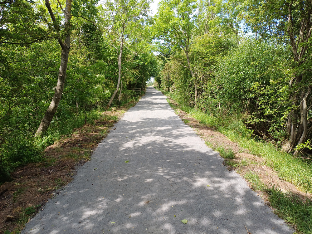 View of Etherley incline after works - grey footpath with trees lining each side of the new surface.