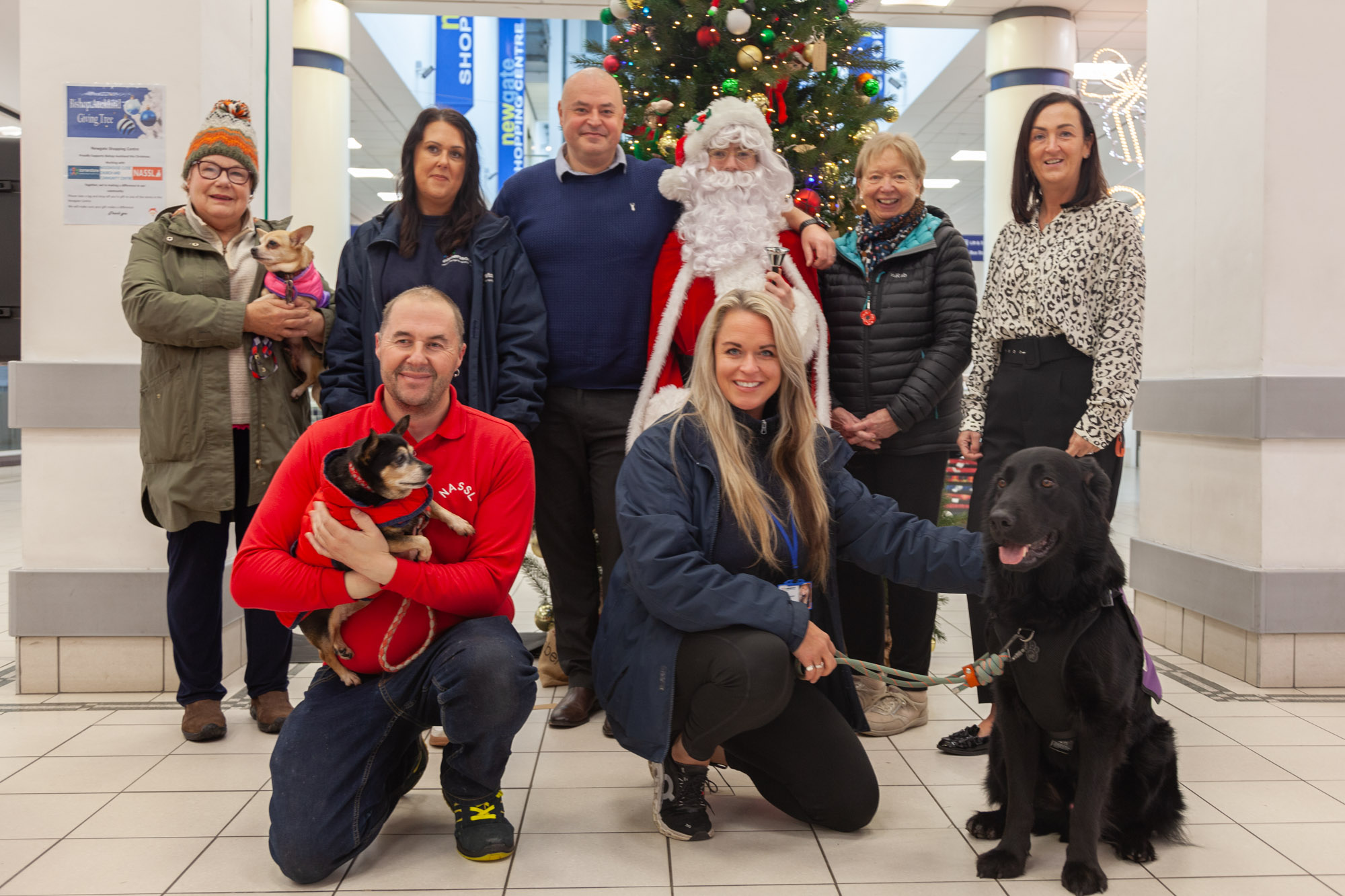 Group shot of people which includes Pauline Wilson from NASSL Pet Charity with NASSL dog Fawn, Claire Burke-Goulbourn from Cornerstone, Andrew Lee, Newgate Shopping Centre Manager standing with Santa Claus, Jennie Thomas and Debbie Richardson from Woodhouse Community Centre and Church Front row: Lee, a representative from NASSL Pet Charity with NASSL dog Poppy, and Nicky Morson from Cornerstone with Bob the Therapy Dog celebrating the launch of the Giving Tree initiative.